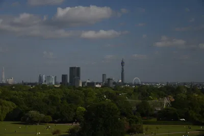 DSC_5945 (Large).JPG